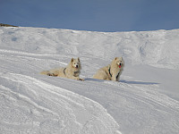 opps_20210114_6000b498d6605.jpg