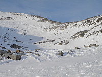 opps_20210114_6000b49a13b41.jpg