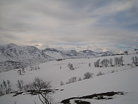 opps_20210114_6000b49e1c248.jpg