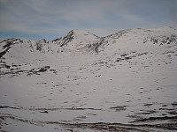 opps_20210114_6000b49fea163.jpg