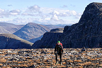 opps_20210117_6004882b1779f.jpg