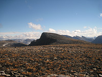 opps_20210117_6004882cb8f0f.jpg
