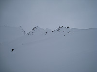 opps_20210117_60049042d50f7.jpg