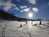 opps_20210504_6091a41101867.jpg