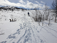 opps_20210504_6091a87f3cc4f.jpg
