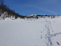 opps_20210504_6091a98a9fb47.jpg