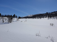 opps_20210504_6091a98c15ab5.jpg