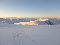 opps_20210615_60c8cba6f21be.jpg