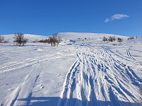 opps_20210615_60c8cf115fa8a.jpg