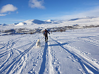 opps_20210615_60c8cf15b3af3.jpg