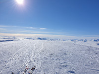 opps_20210615_60c8d104449da.jpg