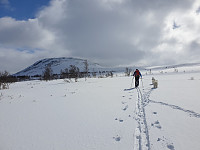 opps_20210615_60c8d275823f2.jpg