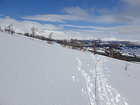 opps_20210615_60c8d27695460.jpg