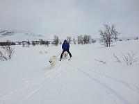 opps_20210615_60c8d27b5e7f5.jpg