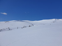 opps_20210615_60c8d702499fb.jpg