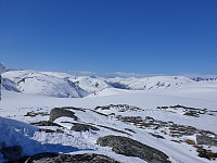 opps_20210615_60c8d70a495d9.jpg