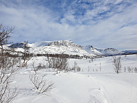 opps_20210615_60c90d6ac7339.jpg
