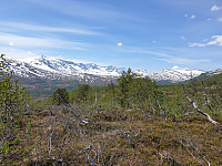 opps_20210615_60c910b97c88f.jpg