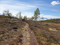 opps_20210615_60c910bd89388.jpg