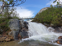 opps_20210615_60c910c623a07.jpg