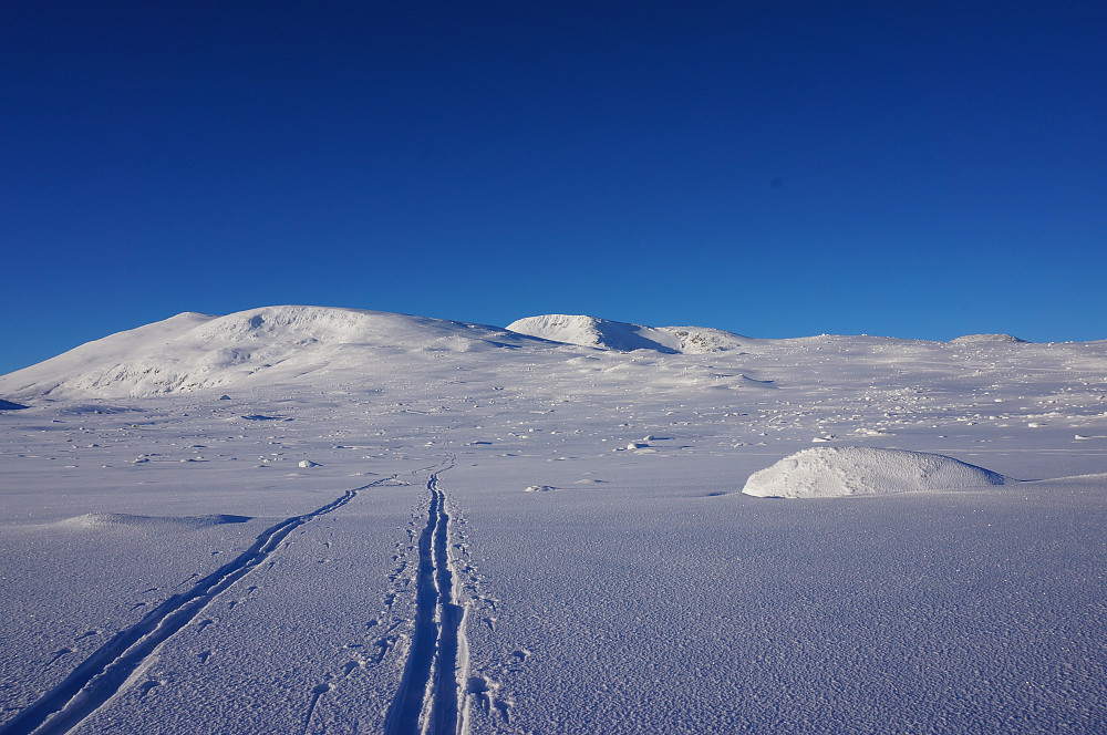 Fint skiføre.