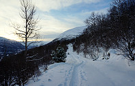 opps_dsc01166.jpg