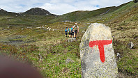 LukasHeck_20170714_59693dd6cdfc0.jpg