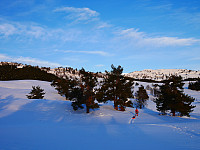 LukasHeck_20180114_5a5b8dc2de3f0.jpg