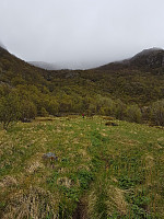 LukasHeck_20210531_60b4fac130380.jpg