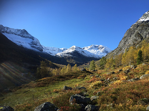 Kan ikkje spy i slik natur