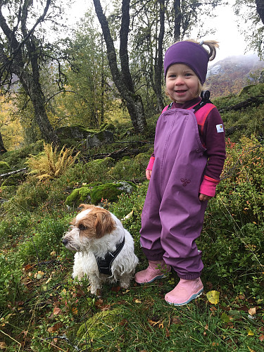 Ei førebels glad jente, og ein ukonsentrert hund
