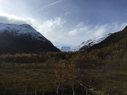 Eit fråstøtande skue