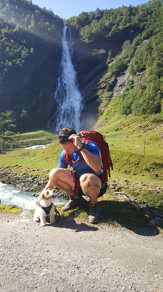 Foss, mann, hund