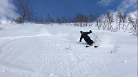 Undertegnede er happy nedover skogen på vestsiden av Midtnuten ned i Austdalen