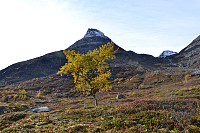 tomba_dsc_0007.jpg