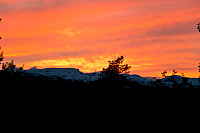 tomba_dsc_0488_1.jpg