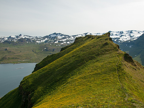 Ryggen, sett fra nord-toppen