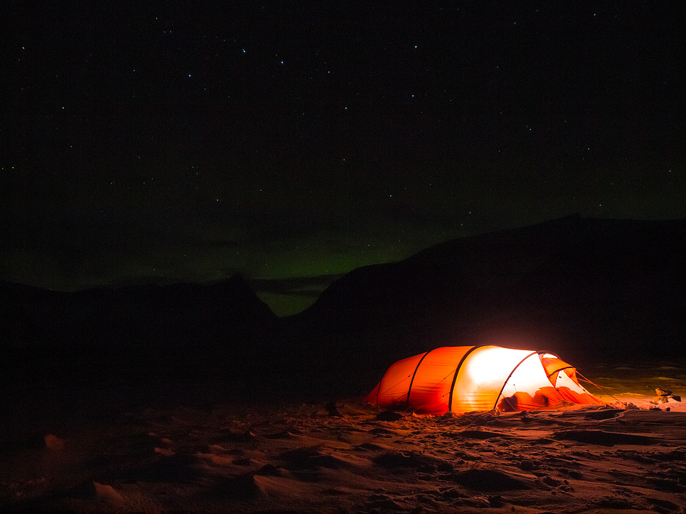 Tredje gangen jeg opplever nordlys på Dovrefjell. Ikke like flott som i nord, men for Oslo-folk er det stas lell!