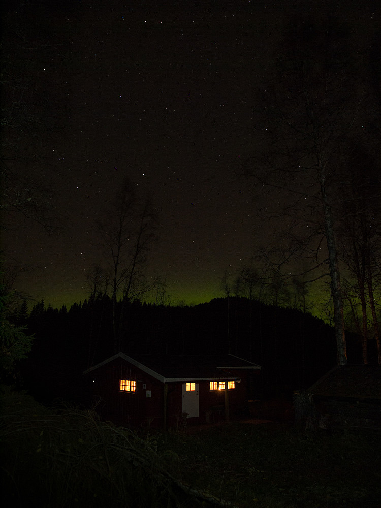 Garsjøkoia med nordlys i horisonten.