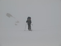 mortodeg_mo030202.jpg
