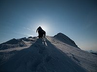 mortodeg_mo299350.jpg