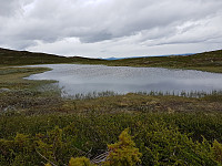 Turgåsa_20190705_5d1f55f36d705.jpg