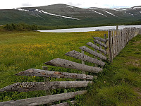 Turgåsa_20190705_5d1f55f7123db.jpg