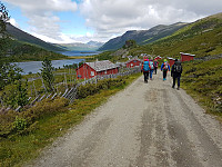 Turgåsa_20190705_5d1f55fb0f7d5.jpg