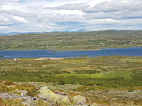 Turgåsa_20190705_5d1f55fcbd1b7.jpg