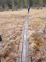 Turgåsa_20200524_5eca8d4dbef26.jpg