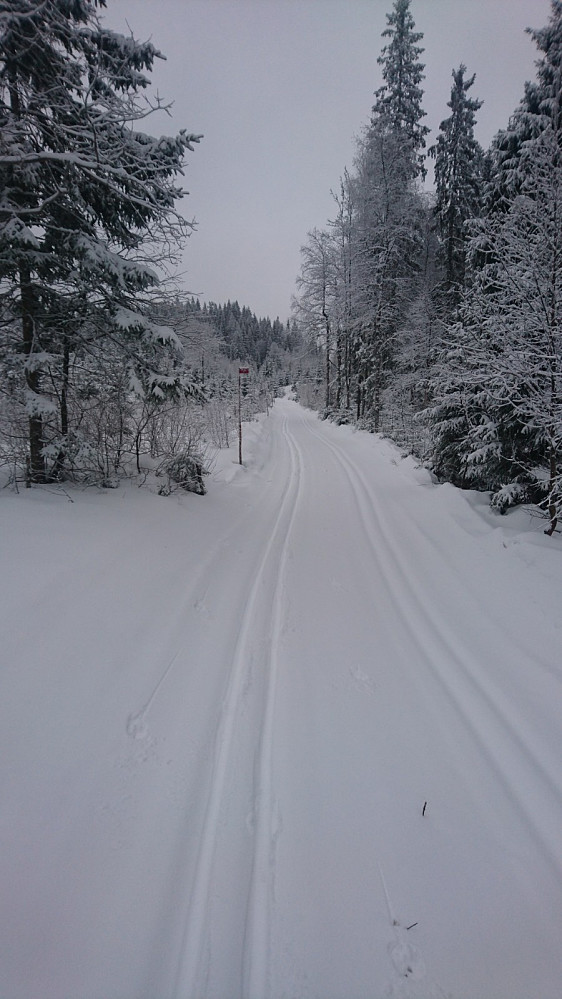 Fine spor med nysnø