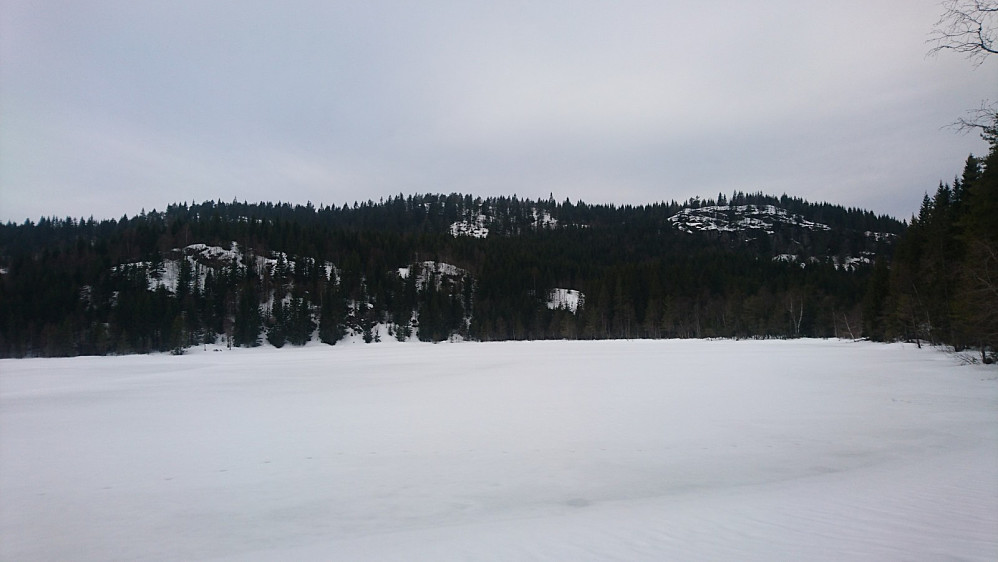 Havretjenn