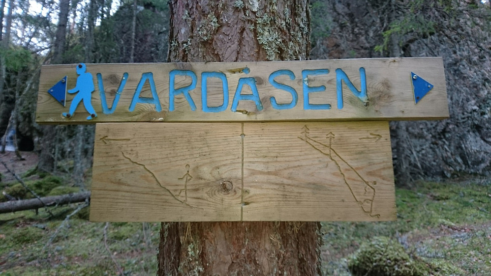 Alternative ruter til Store Vardeåsen