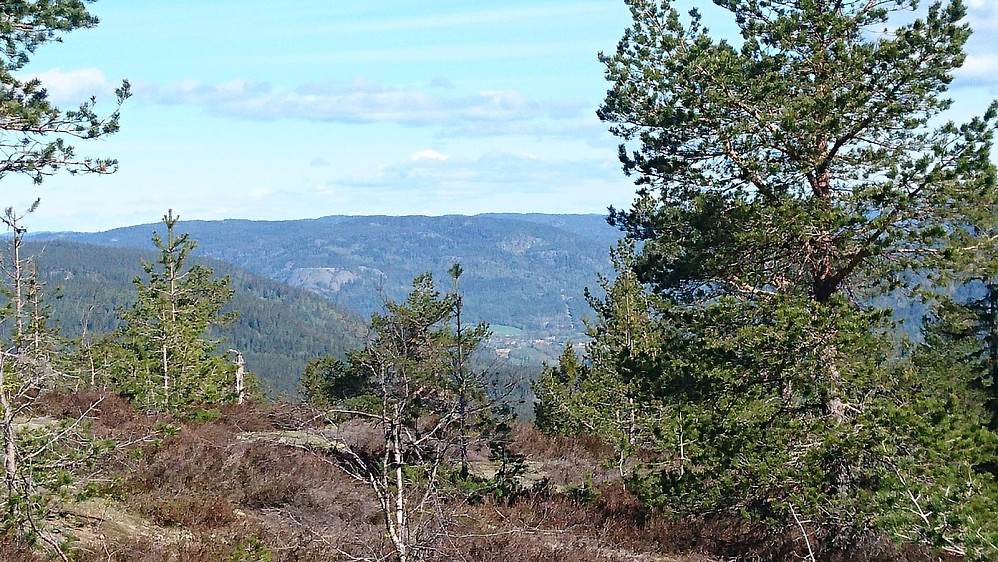 Fra Kula, mot Opdalen og Skriua